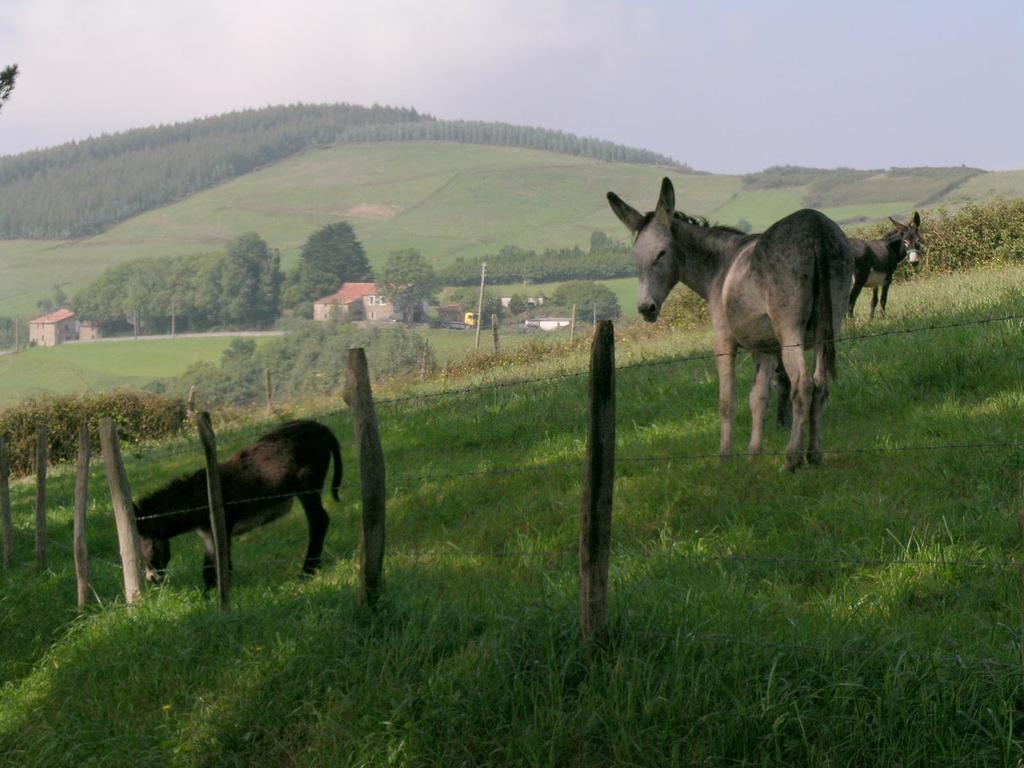 Agroturismo Kasa Barri 베르메오 외부 사진